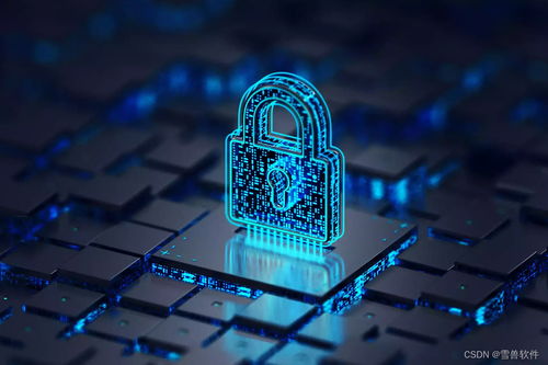 10种提升数据安全性的网络技术开发方法