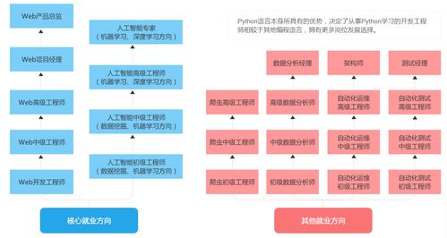 初中生自学Python与网络技术开发 从零到实践的全路径指南